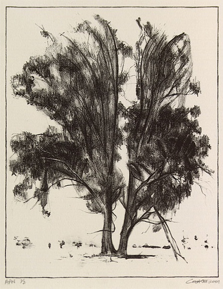 Artist: b'Cooke, Warren.' | Title: b'not titled [two trees]' | Date: 2001, 16 June | Technique: b'lithograph, printed in black ink, from one stone'