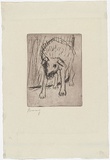 Artist: b'MADDOCK, Bea' | Title: b'Dog at a gate.' | Date: 67 | Technique: b'etching, printed in black ink with plate-tone, from one zinc plate'