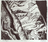 Artist: Hillard, Merris. | Title: Tree trunk 2 | Date: c.1986 | Technique: lithograph, printed in black ink, from one stone