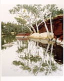 Artist: b'Rose, David.' | Title: b'Rain at Ellery Creek, Central Australia' | Date: 1989 | Technique: b'screenprint, printed in colour, from multiple stencils'