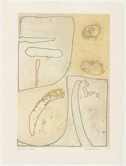 Artist: b'Schawel, Melinda.' | Title: b'Mist' | Date: 2000 | Technique: b'deep-bite etching, printed in colour with plate-tone, from two plates'