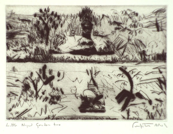 Artist: b'Fumpston, Rodney.' | Title: b'Little night garden II' | Date: 1993,  September - October | Technique: b'drypoint, printed in black ink, from one plate'