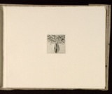 Artist: b'Mann, Gillian.' | Title: b'(Lined form).' | Date: 1981 | Technique: b'etching, printed in black ink, from one plate'