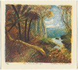 Artist: b'Robinson, William.' | Title: b'Tree ferns in sunlight' | Date: 2000 | Technique: b'lithograph, printed in black ink, from one plate'