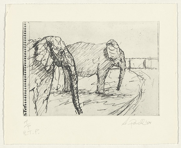 Artist: b'Powell, Andrew.' | Title: b'not titled [two elephants]' | Date: 1988 | Technique: b'photo etching and aquatint, printed in black ink, from one plate'