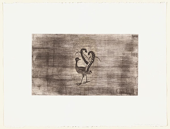 Artist: b'Crawford, Marian.' | Title: b'Lyre bird' | Date: 1994 | Technique: b'etching, printed in colour, from two plates; embossing'