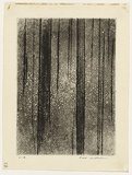 Artist: b'WILLIAMS, Fred' | Title: b'Red trees' | Date: 1958 | Technique: b'etching, aquatint, engraving and drypoint, printed in black ink, from one copper plate; counterproof' | Copyright: b'\xc2\xa9 Fred Williams Estate'