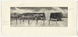 Artist: PORTER, Chris | Title: Corrugated iron | Date: 1995-96 | Technique: etching, printed in warm black ink from one plate.