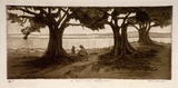Artist: Dwyer, Ella. | Title: A summer afternoon. | Date: c.1930 | Technique: etching and aquatint, printed in brown ink with plate-tone, from one plate