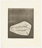 Artist: b'Cameron, Dorothy.' | Title: b'not titled [fish]' | Date: c.1976 | Technique: b'etching, printed in black ink, from one plate'
