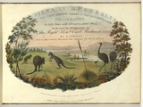 Artist: LYCETT, Joseph | Title: View in Bathurst Plains near Queen Charlotte's Valley. | Date: 1824 | Technique: lithograph, printed in black ink, from one stone; Hand-coloured