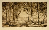 Artist: b'Dwyer, Ella.' | Title: b'Afternoon shade.' | Date: (1938) | Technique: b'etching, printed in brown ink with plate-tone, from one plate'