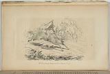 Artist: b'Ham Brothers.' | Title: b'Mr Neuchamp drops across a native dog.' | Date: 1851 | Technique: b'engraving, printed in black ink, from one copper plate'