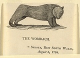 Artist: Bewick, Thomas | Title: The Wombach. | Date: 1800 | Technique: wood-engraving, printed in black ink, from one block