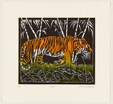 Title: Tiger | Date: 2008 | Technique: linocut, printed in colour, from multiple blocks; embossed