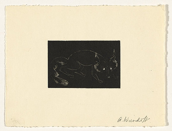 Artist: b'Wienholt, Anne.' | Title: b'Not titled (Fox)' | Technique: b'engraving, printed in relief in black ink, from one copper plate'