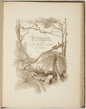 Artist: b'Meredith, Louisa Anne.' | Title: b'Retrospects [title page]' | Date: 1860 | Technique: b'lithograph, printed in brown ink, from one stone'