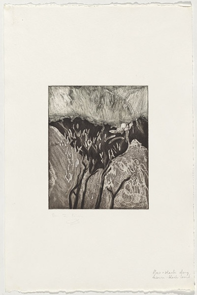 Artist: b'Rambeau, Marc.' | Title: b'Bush' | Technique: b'etching and aquatint, printed in warm black ink, from one plate'