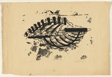 Title: Shell | Date: 1961 | Technique: screenprint, printed in black ink, from one stencil