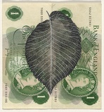 Artist: b'HALL, Fiona' | Title: b'Ulmus procera - English elm (English currency)' | Date: 2000 - 2002 | Technique: b'gouache' | Copyright: b'\xc2\xa9 Fiona Hall'