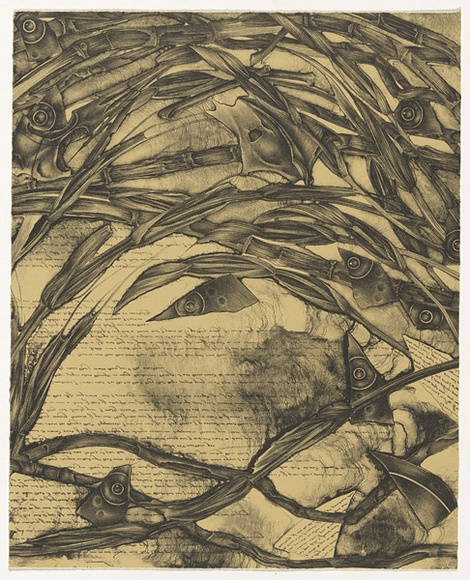 Artist: b'Burgess, Rachel.' | Title: b'not titled [inverted script and abstracted vegetation].' | Date: 1995 | Technique: b'lithograph, printed in black ink, from one stone'