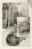 Artist: FULLWOOD, A.H. | Title: Lady Carrington Road; Sea reach  Port Hacking; Freshwater Beach. | Date: 1886-88 | Technique: wood-engraving, printed in black ink, from one block