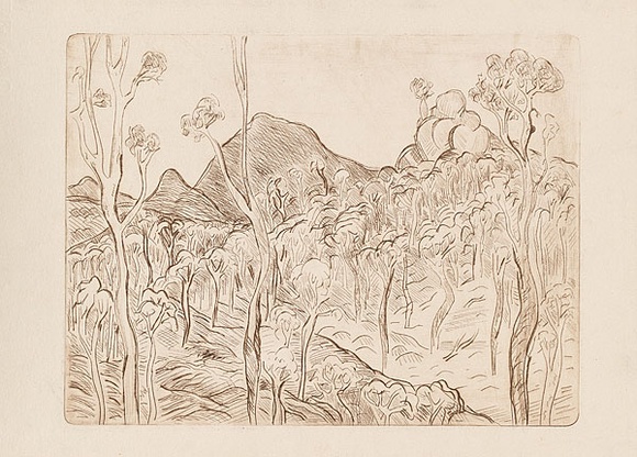 Artist: b'Forbes, Clem.' | Title: b'not titled [bush landscape].' | Date: 1970s | Technique: b'etching, printed in brown ink, from one plate'