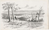 Artist: b'GILL, S.T.' | Title: b'Creswick Creek from Shrine Hill' | Date: 1855-56 | Technique: b'lithograph, printed in black ink, from one stone'