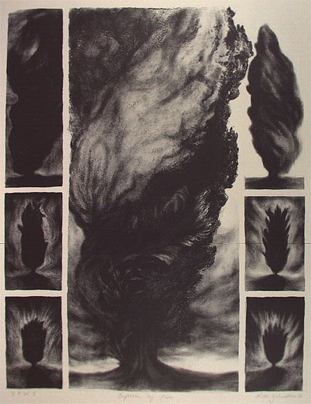 Artist: Johnstone, Ruth. | Title: Baptism by fire | Date: 1986 | Technique: lithograph, printed in black ink, from one stone