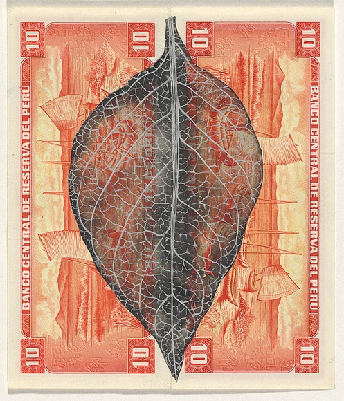 Artist: b'HALL, Fiona' | Title: b'Capsicum annuum - Chilli (Peruvian currency)' | Date: 2000 - 2002 | Technique: b'gouache' | Copyright: b'\xc2\xa9 Fiona Hall'