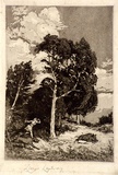 Artist: b'LINDSAY, Lionel' | Title: b'Diana' | Date: 1907 | Technique: b'etching and aquatint, printed in warm black ink, from one plate' | Copyright: b'Courtesy of the National Library of Australia'