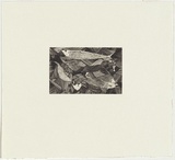 Artist: WARADJIMA, Albert | Title: (Animals, emu and fish) | Date: 1976 | Technique: drypoint, printed in black ink, from one zinc plate