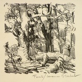 Artist: Herbert, Harold. | Title: Forest | Date: c.1931 | Technique: lithograph, printed in black ink, from one stone
