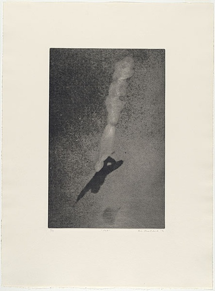 Artist: b'MADDOCK, Bea' | Title: b'Fall' | Date: 1976, November | Technique: b'photo-etching, aquatint and burnishing, printed in black ink, from one plate'