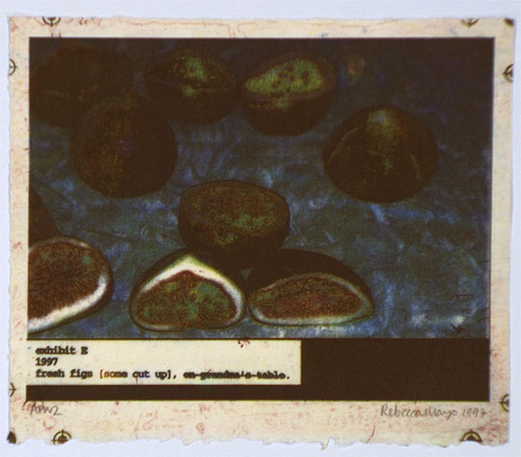 Artist: b'Mayo, Rebecca.' | Title: b'Exhibit E' | Date: 1997, April | Technique: b'photo-etching, printed in colour, from multiple plates'