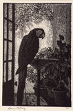 Artist: b'LINDSAY, Lionel' | Title: b'The Macaw' | Date: 1924 | Technique: b'wood-engraving, printed in black ink, from one block' | Copyright: b'Courtesy of the National Library of Australia'