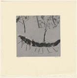 Artist: Murphey, Idris. | Title: (Hairy log). | Date: 2002 | Technique: open-bite and aquatint, printed in grey ink, from two plates