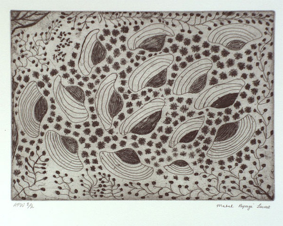 Artist: b'Laurel, Mabel Papayi.' | Title: b'not titled [mud mussels]' | Date: 2000, March | Technique: b'etching, printed in black ink, from one plate'