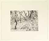 Artist: Mortensen, Kevin. | Title: Caleb's steps | Date: 2000 | Technique: etching, printed in black ink, from one copper plate | Copyright: © Kevin Mortensen
