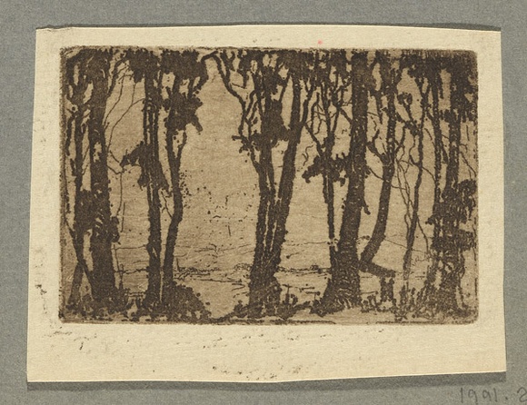 Artist: b'Coleman, Constance.' | Title: b'(Trees).' | Date: c.1944 | Technique: b'etching, printed in brown ink with plate-tone, from one plate'