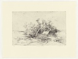 Artist: b'Mortensen, Kevin.' | Title: b'Birdman island' | Date: 2005 | Technique: b'etching, printed in black ink, from one copper plate' | Copyright: b'\xc2\xa9 Kevin Mortensen'