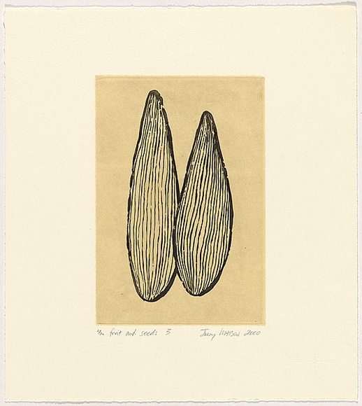 Artist: b'Watson, Judy.' | Title: b'Fruit and seeds 3' | Date: 2000 | Technique: b'etching, printed in black ink, from one plate; chine coll\xc3\xa9'