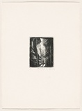 Artist: b'AMOR, Rick' | Title: b'Passage.' | Date: 1998 | Technique: b'etching, printed in black ink, from one plate'