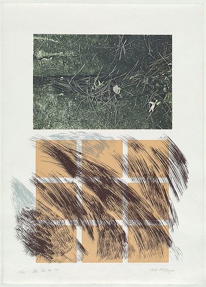 Artist: b'MEYER, Bill' | Title: b'Bore puri ha etz [fruits of the tree]' | Date: 1981 | Technique: b'screenprint, printed in colour, from seven stencils (indirect emulsion film, hand cut stencil film, acetate/charcoal, photo images)' | Copyright: b'\xc2\xa9 Bill Meyer'