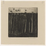 Artist: b'WILLIAMS, Fred' | Title: b'Gum trees at Colo Vale' | Date: 1958 | Technique: b'etching, aquatint, engraving and drypoint, printed in black ink, from one copper plate' | Copyright: b'\xc2\xa9 Fred Williams Estate'
