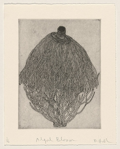 Artist: b'HALL, Fiona' | Title: b'Algal bloom' | Date: 1999 | Technique: b'etching, printed in black ink, from one plate' | Copyright: b'\xc2\xa9 Fiona Hall'