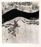 Artist: b'Hadley, Basil.' | Title: b'River Murray II' | Date: 1976 | Technique: b'etching, aquatint and deep etching, printed in black ink, from one plate'