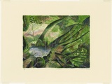 Artist: b'Robinson, William.' | Title: b'Rainforest' | Date: 1992 | Technique: b'lithograph, printed in colour, from multiple plates'