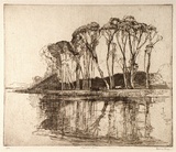 Artist: b'LONG, Sydney' | Title: b'Reflections, Avoca' | Date: (1928) | Technique: b'line-etching, printed in brown ink with plate-tone, from one copper plate' | Copyright: b'Reproduced with the kind permission of the Ophthalmic Research Institute of Australia'