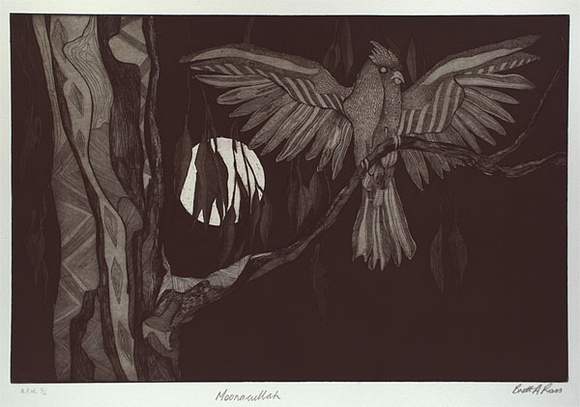 Artist: b'Ross, Brett A.' | Title: b'Moonacullah (Galah)' | Date: 1999, July - August | Technique: b'etching and aquatint, printed in black ink, from one plate'